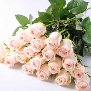 ROSES SERVICE ARRANGEMENT