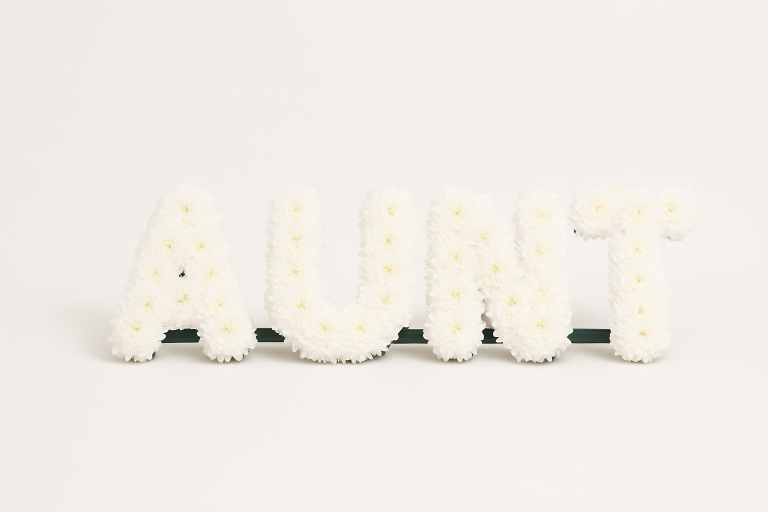 SPECIAL AUNT SENTIMENT TRIBUTE